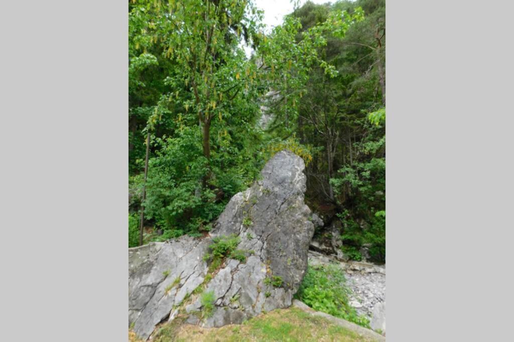 Rezidenca Mitja Villa Kranjska Gora Bagian luar foto
