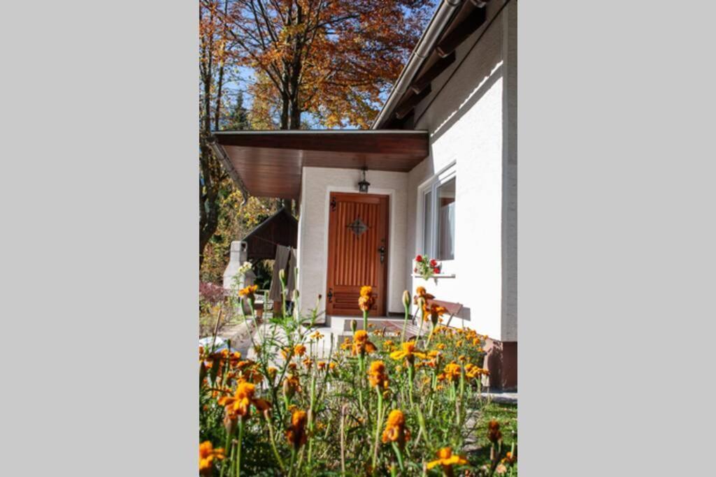 Rezidenca Mitja Villa Kranjska Gora Bagian luar foto
